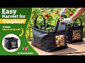 Potato Grow Bags Review 2025 – Easy Harvest for Veggies! #garden #plants #farming