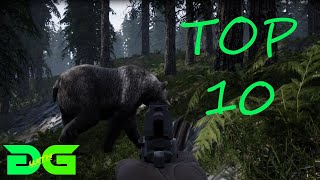 Mist Survival - Alpha 0.3.10 - Top 10 Pro Tips