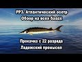 РР3. Атлантический осетр. Обзор на всех базах. Прокачка разряда. Ладожский промысел