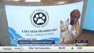 Sioux Falls Area Humane Society relies on the help of volunteers
