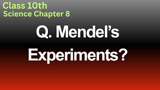 Mendel’s Experiments