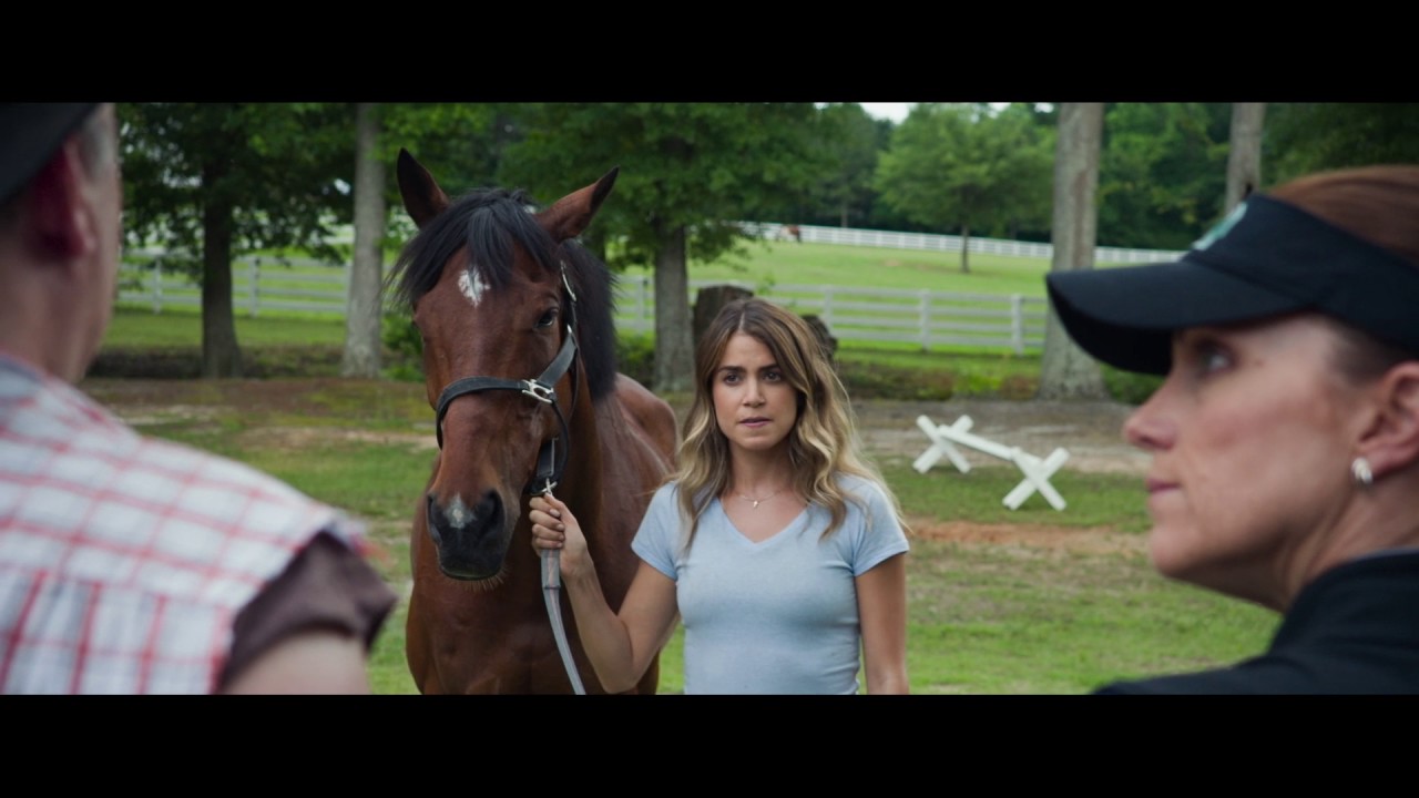 LE CHEVAL DE L'ESPOIR - Trailer HD VF - YouTube