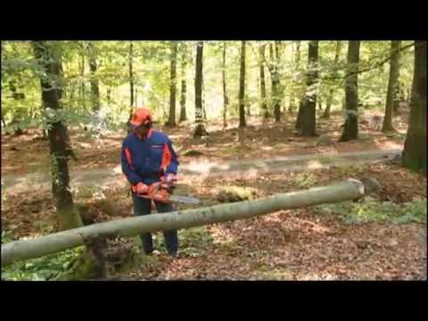 Видео: За какво се използват триони за подрязване: Съвети за използване на трион за подрязване