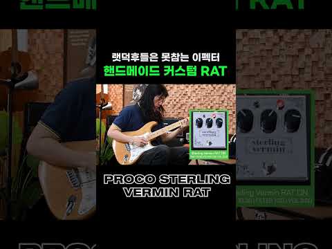 랫덕후는 못참을 커스텀 랫!