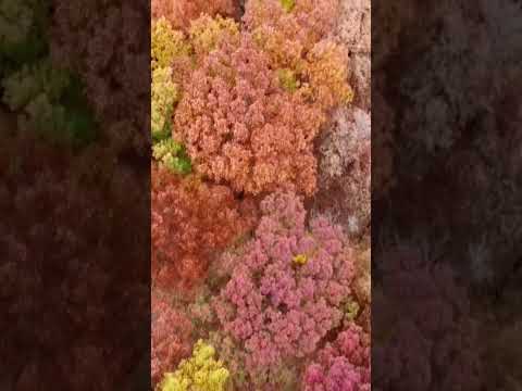 Штат Огайо США