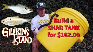 How to build a LIVE SHAD tank for $162.00