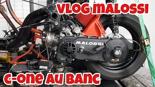 VLoG malossi c-one au banc .