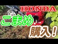 ホンダ耕運機F220こまめを購入しました！【家庭菜園　畑】I bought a Honda cultivator F220 diligently! [Kitchen garden field]