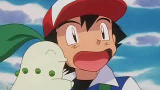 Chikorita having a crush on Ash