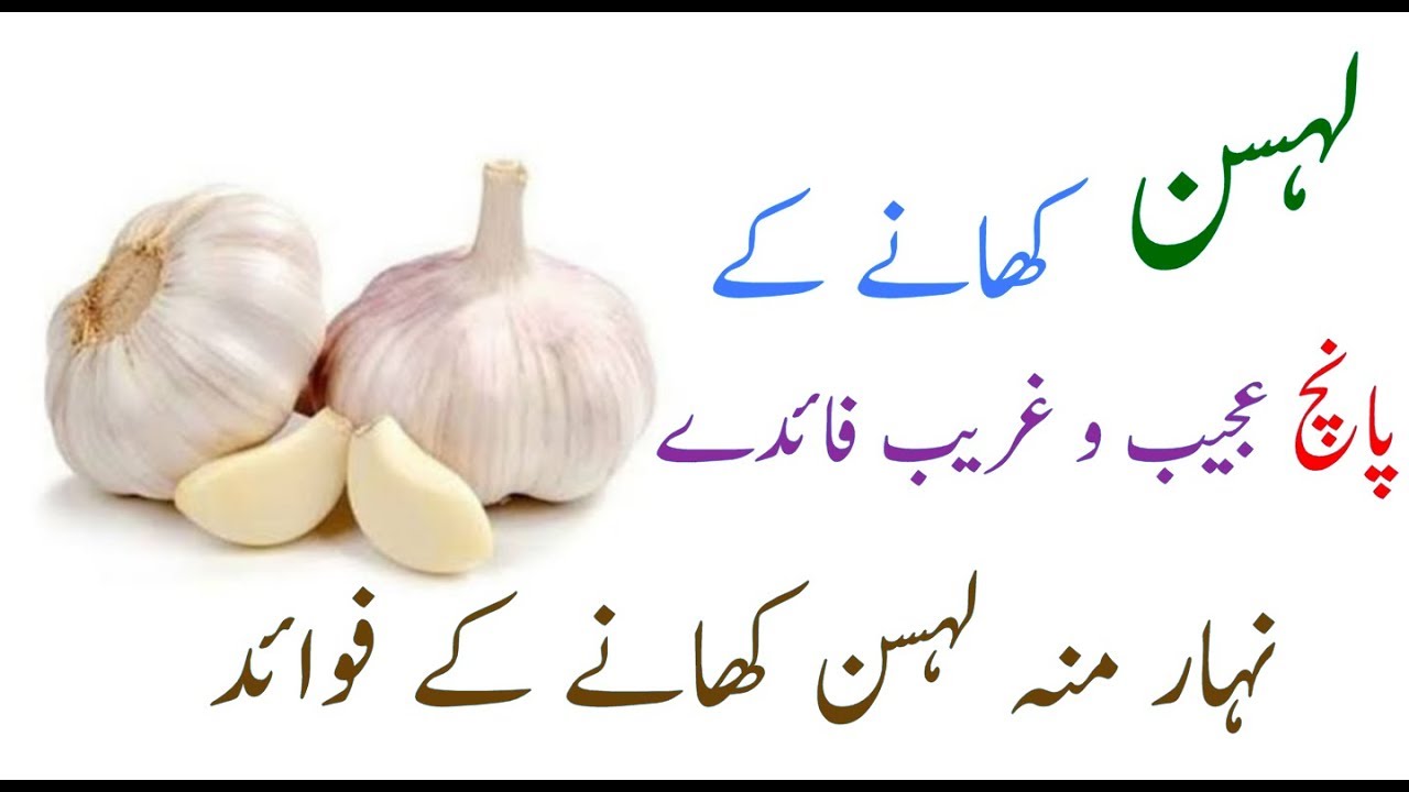 Garlic Benefits in Urdu/Hindi Lahsun Khany K Faiday in urdu Pak