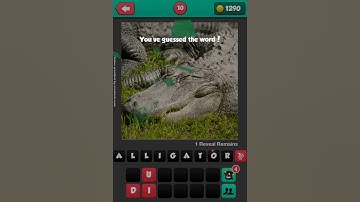 What The Pic!  Level 10 Answer Cheat