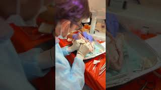 4 DAY ADVANCED IMPLANT & REGENERATION COURSE