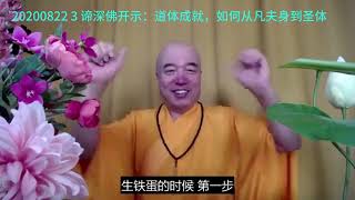 20200822 3 谛深佛开示:道体成就,如何从凡夫身到圣体