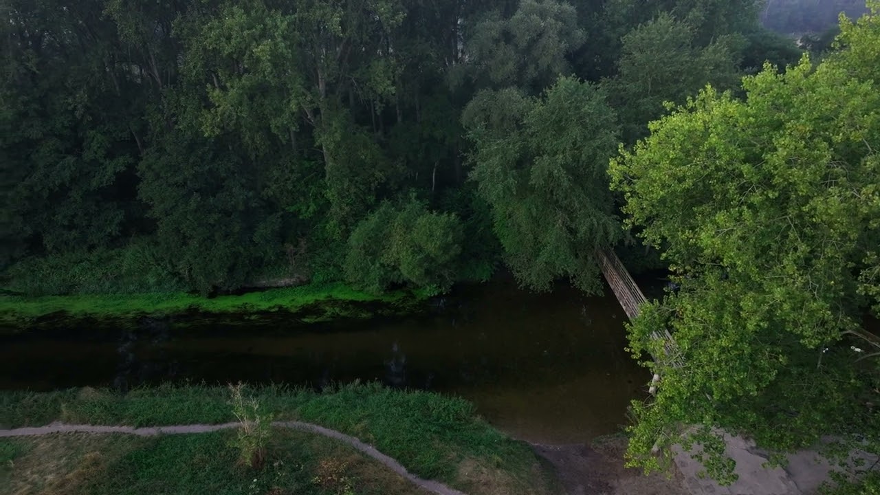 EARLY SEPTEMBER MORNING FLIGHT, SANTON DOWNHAM