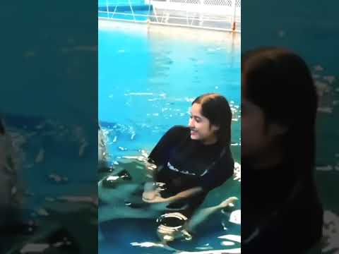 Jannat Zubair Dolphin Kissing Video | Jannat Zubair Dubai Dolphinarium Video #Jannatzubair #Shorts 😘