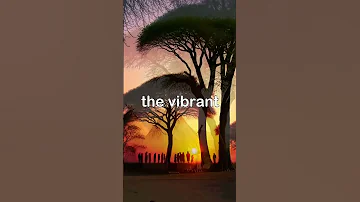 Eternal Echoes Of Africa 