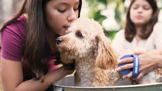 Bodhi Dog Bath Brush