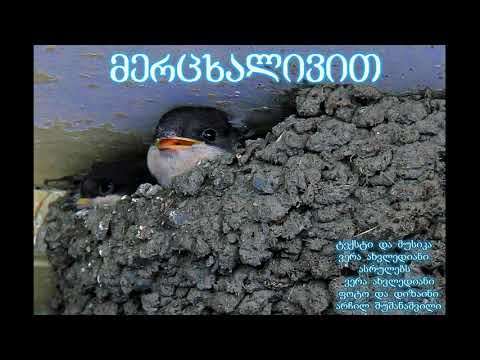 ვერა ახვლედიანი - მერცხალივით (სიმღერა)