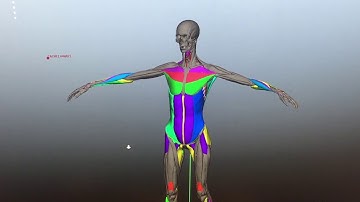 Intro to ZIVA VFX