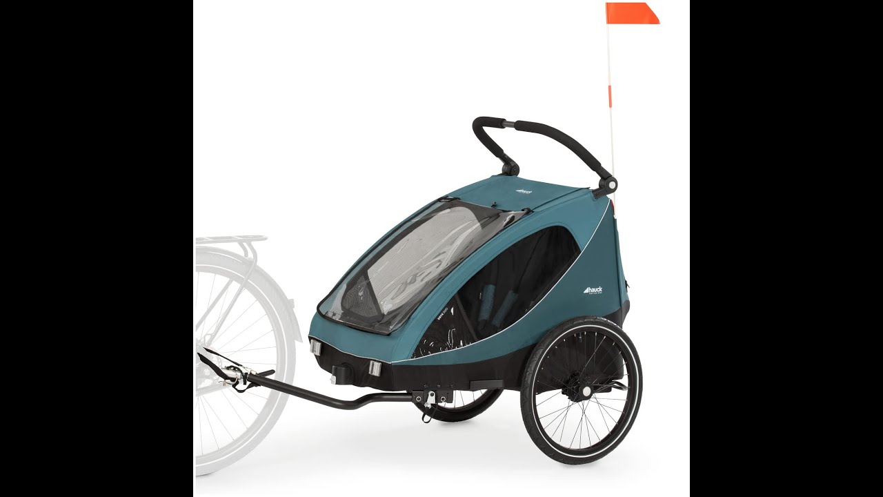 Hauck 2 in 1 bicycle trailer and buggy DRYK DUO two children YouTube