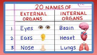 EXTERNAL AND INTERNAL ORGANS OF THE HUMAN BODY | 10 | 20 Names of EXTERNAL AND INTERNAL ORGANS