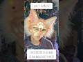 Making a Norwegian forest cat mask‼️ - (part 3/3) [#therian #furry #quadrobics#maskmaker#otherkin]