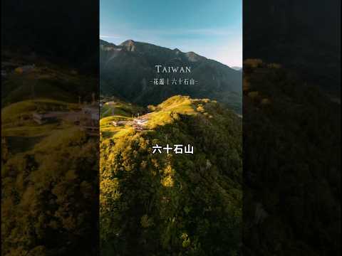 六十石山·金針花海