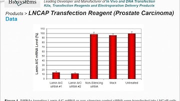 Altogen Biosystems LNCAP Transfection Reagent
