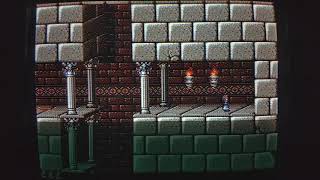Prince of Persia - SNES - Gate Thief #1 - Level 7 - 0:50 - 355