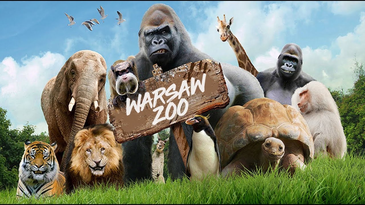Warsaw Zoo // Zoo Warszawa YouTube