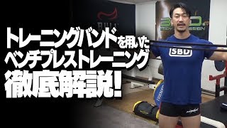 トレーニングバンドを用いたベンチプレストレーニング徹底解説【SBDアスリート】鈴木佑輔