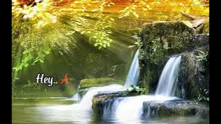 Lirik Lagu Bukan Tua Kelapa || Cover by Edwin Jandu