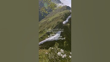 شريف مصطفى سورة الفلق
