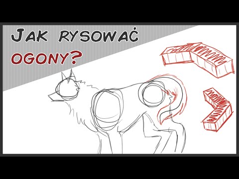 Wideo: Jak Narysować Ogon