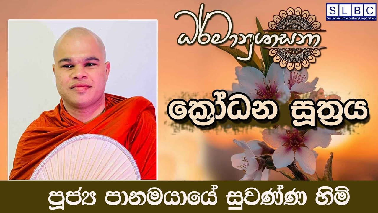 2026  JANUARY 14 | 08 00 PM |ක්‍රෝධන සූත්‍රය | පූජ්‍ය පානමයායේ සුවණ්ණ හිමි