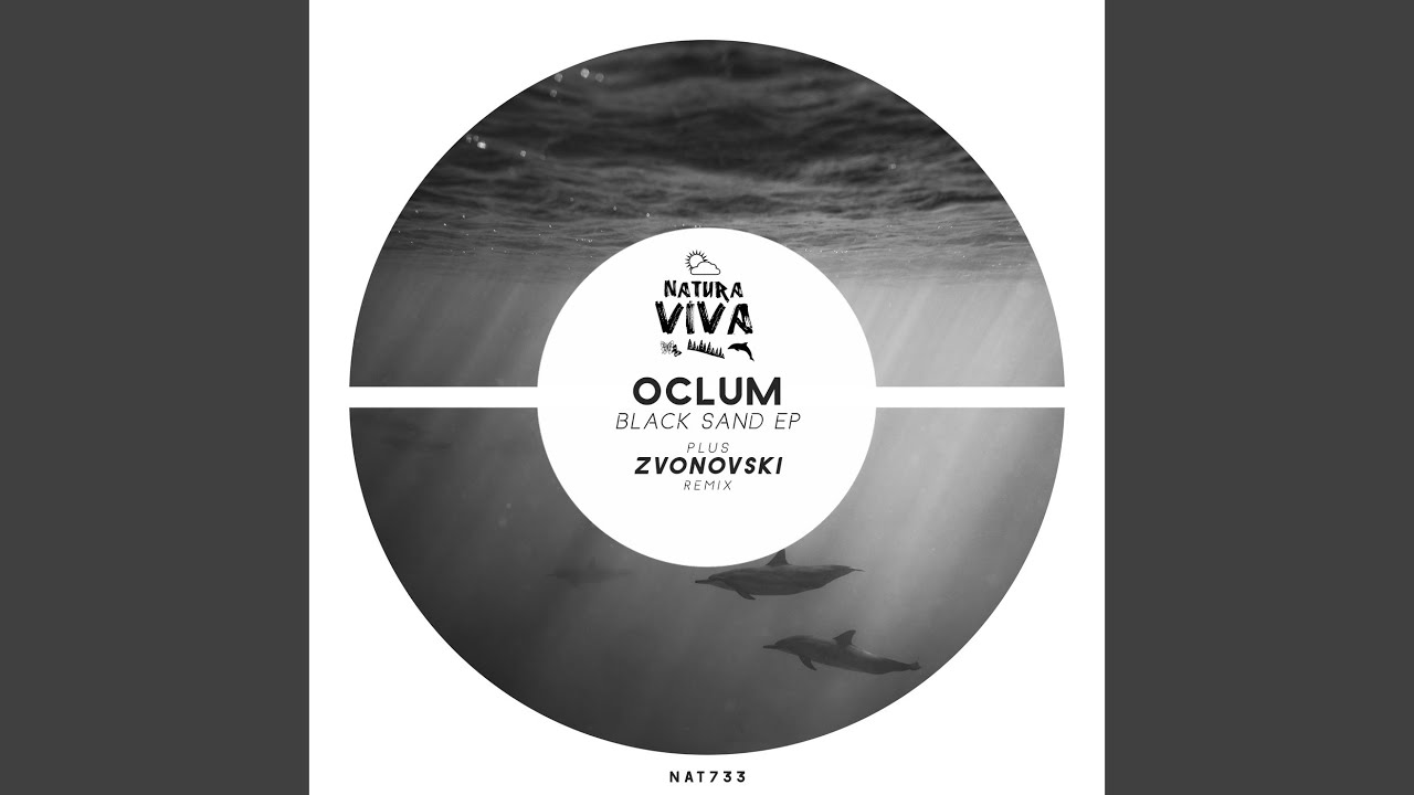 Black Sand (Zvonovski Remix)