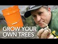 Growing trees is the ultimate side hustle