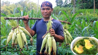 Bongko jagung ayam pedas daun kemangi tegeyan ketupuk jagung manis