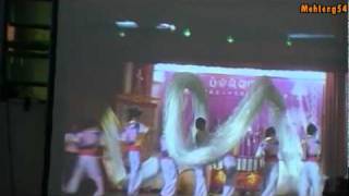 20101203 新加坡南方武术醒狮院29周年纪念 4/7