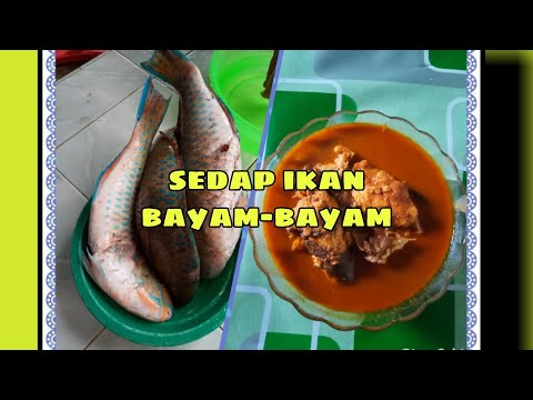 cara-mudah-masak-ikan-bayam-bayam