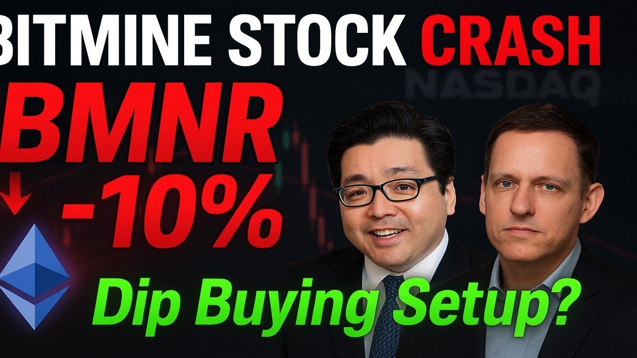 Bitmine Stock CRASH: 10% Drop! 🚨 NASDAQ Crypto Scrutiny Explained | BMNR Dip Buying Setup