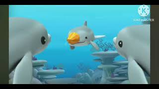 Word World The Race To Mystery Island Octonauts The Dolphin Reef Rescue