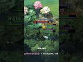 Stun locked for 13 minutes (real ahh clip) 💀 #dota2 #дота2 #dota2clips