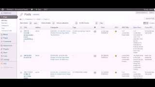 WordPress SEO Basics -  WordPress Web Design For Real Estate Agents