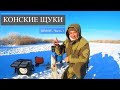 ЭТИ КОНСКИЕ ЩУКИ не дают расставить жерлицы. Зимняя рыбалка с ночевкой в Карагандинской области.