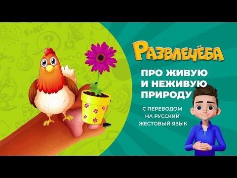 Про живую и неживую природу