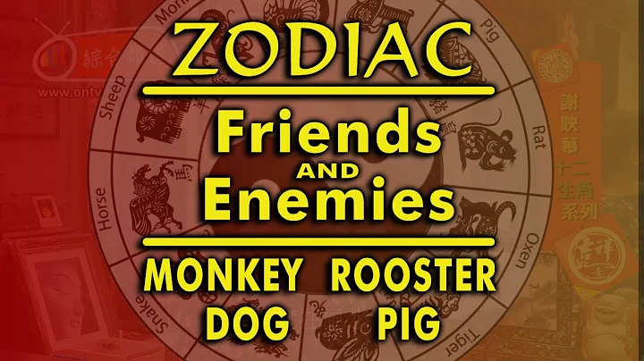Zodiac Sign Friends and Enemies - Monkey - Rooster - Dog - Pig - DayDayNews