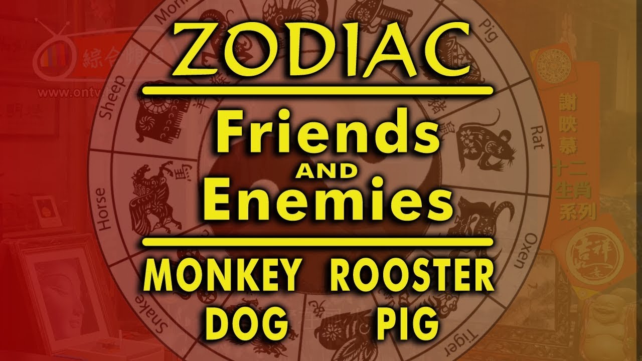 Zodiac Sign Friends And Enemies Monkey Rooster Dog Pig YouTube zodiac-sign-friends-and-enemies-monkey-rooster-dog-pig-youtube