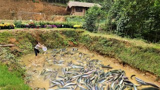 Pregnant Mom Builds Fish Farm in Forest - Epic Survival Challenge, Day 8