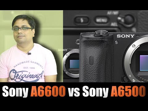 Sony A6600 vs Sony A6500